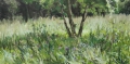 Amstelpark IMG_8999 1700p