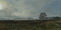 Bussummerheide IMG_9013 1700p