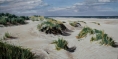 duinen-ijmuiden-2-1700p