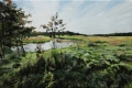 duinen-wassenaarseslag-img_7534-1700p