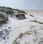 ijmuider-duinen-2009-1700p