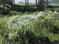 lente-1700p